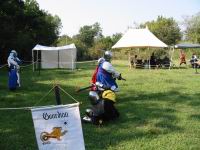 115-1561_IMG.JPG